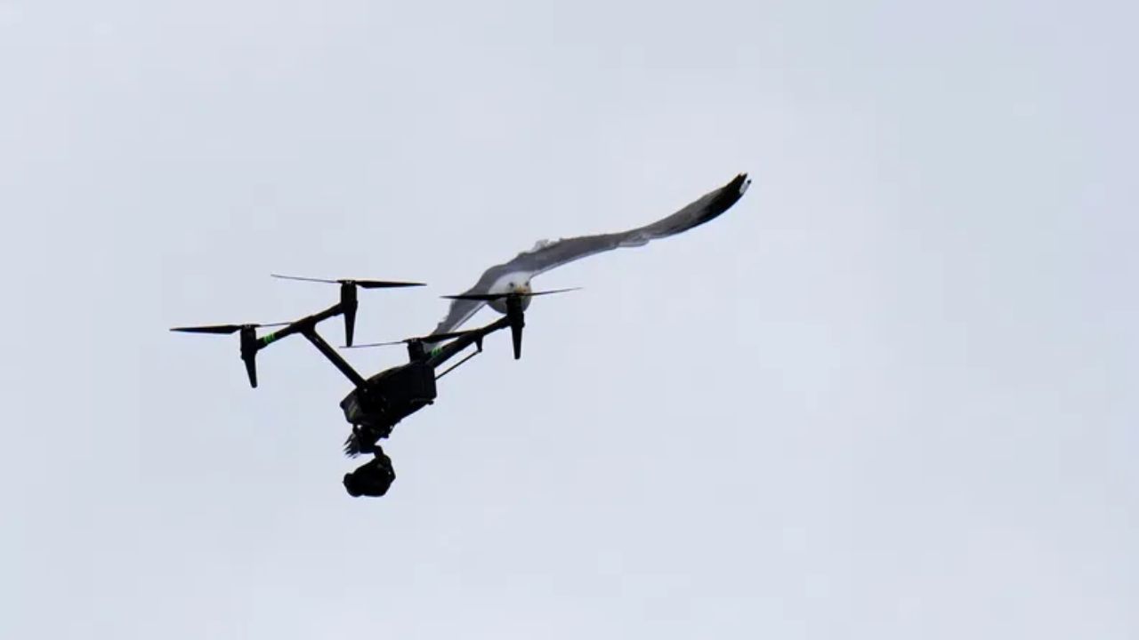 Drone activity witnessed along Internal Border